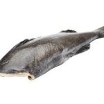 Whole Headless Wild Black Cod (Sablefish)
